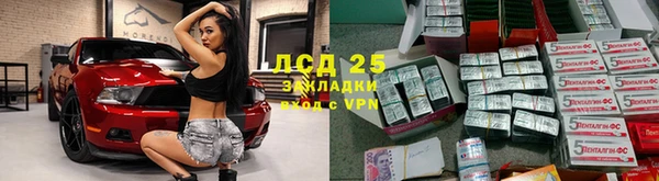 MESCALINE Аркадак