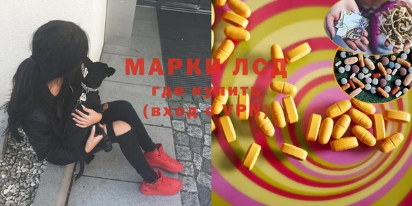 MESCALINE Аркадак